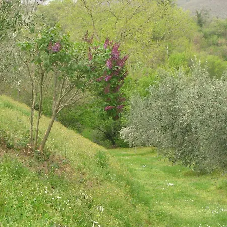 Alojamento de Turismo Rural La Loggetta *